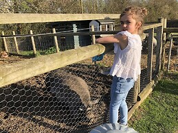 Willow Court Farm