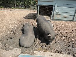 Willow Court Farm