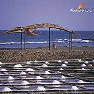 Hotel Chatur Costa Caleta