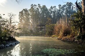 Jim's Jungle Retreat