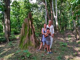 Jim's Jungle Retreat