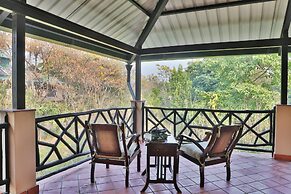 Jim's Jungle Retreat