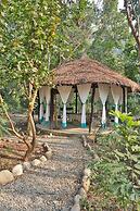 Jim's Jungle Retreat