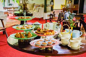 Jim's Jungle Retreat