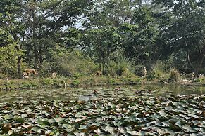 Jim's Jungle Retreat