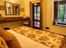 Jim's Jungle Retreat