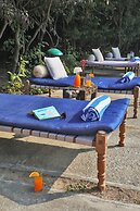 Jim's Jungle Retreat