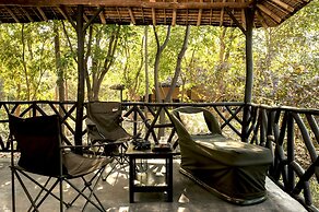 Jim's Jungle Retreat