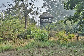 Jim's Jungle Retreat