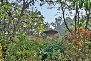 Jim's Jungle Retreat