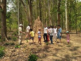 Jim's Jungle Retreat