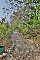 Jim's Jungle Retreat