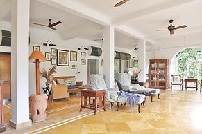 Jim's Jungle Retreat