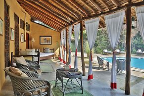 Jim's Jungle Retreat