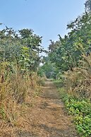 Jim's Jungle Retreat