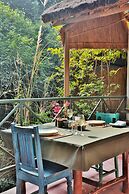 Jim's Jungle Retreat