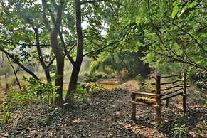 Jim's Jungle Retreat