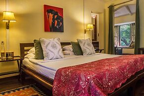 Jim's Jungle Retreat