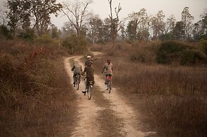 Jim's Jungle Retreat