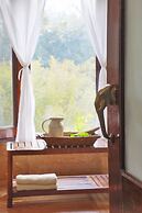 Jim's Jungle Retreat