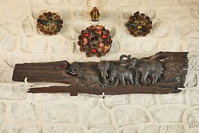 Jim's Jungle Retreat