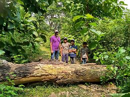 Jim's Jungle Retreat