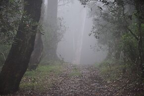 Manudi Glenfallsedge Rest