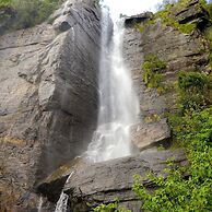 Manudi Glenfallsedge Rest