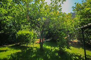 Cirali Villa Zeytin