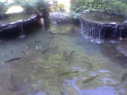 Yazicilar Hotel & Restaurant