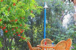 Milkyway Apart & Hotels