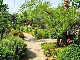 Milkyway Apart & Hotels