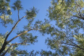 Regia Mare Beach Hotel & Spa Bodrum