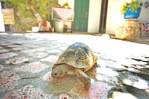 Garden Palace Boutique Hotel