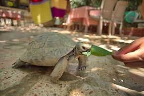 Garden Palace Boutique Hotel