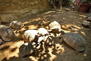 Garden Palace Boutique Hotel