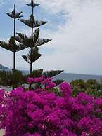 Synosse Hotel Turgutreis