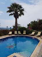 Synosse Hotel Turgutreis