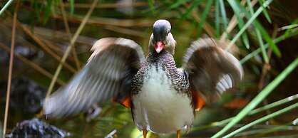 Beijamar Praia Hotel