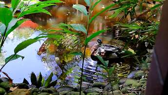 Beijamar Praia Hotel