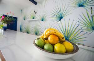 Apolline Martinique