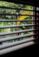 Apolline Martinique