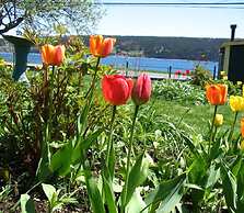 Rothesay House Heritage Inn B&B