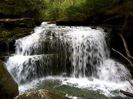 Paddler's Lane Retreat