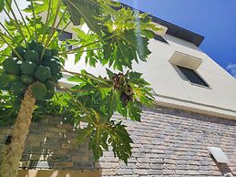 Garden Palace Downtown