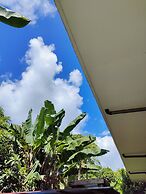 Garden Palace Downtown