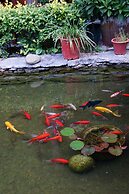 Yangshuo Mountain Nest Boutique Hotel