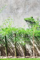 Stucco Loft Residency