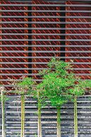 Stucco Loft Residency