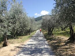 Il Fienile di Assisi